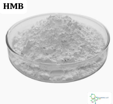 HMB: El Metabolito de Leucina que Potencia tu Masa Muscular y Reduce el Catabolismo