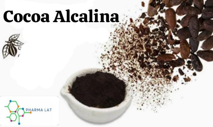 Cocoa Alcalina: Qué es, beneficios, usos y dónde comprar en Perú
